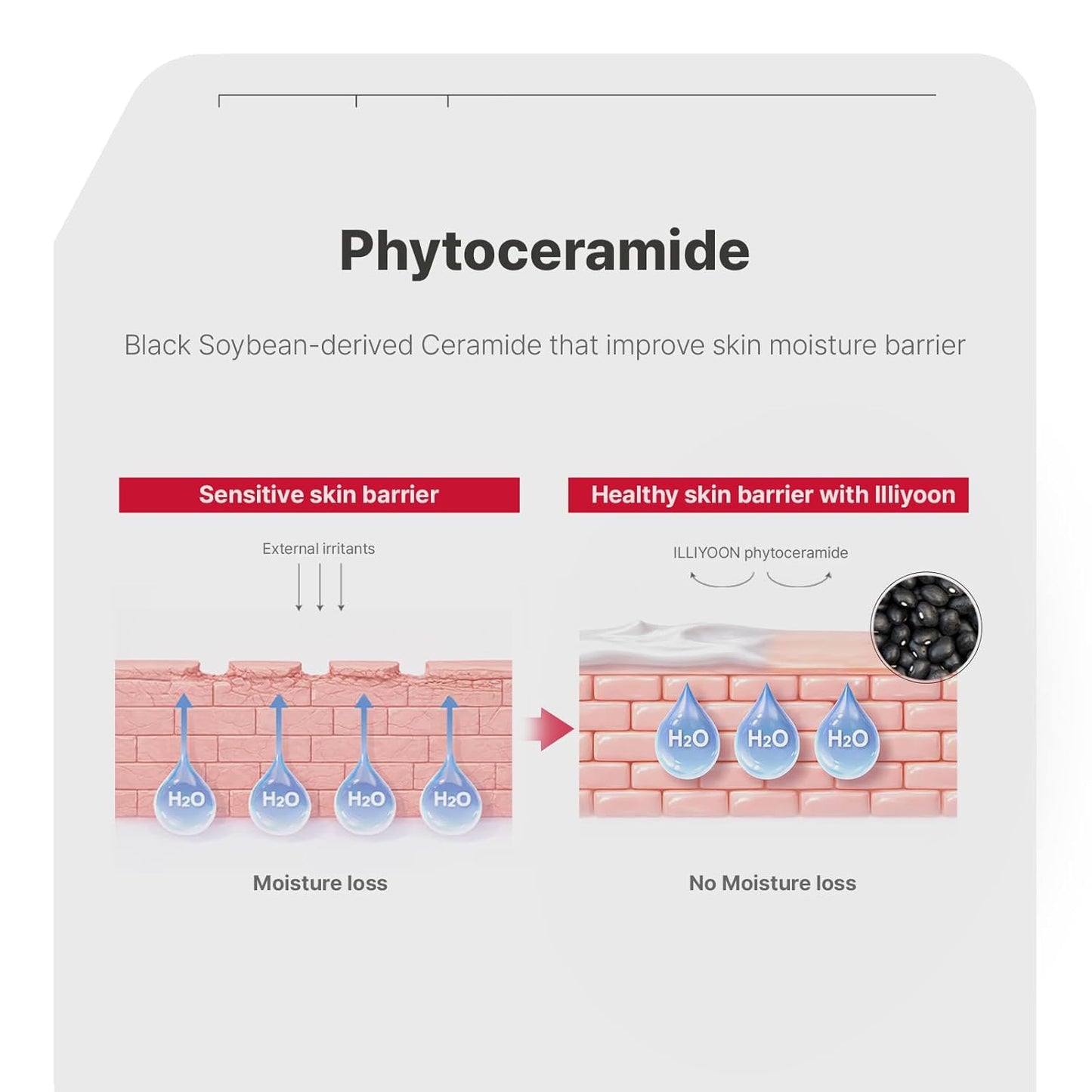 Ceramide Ato Concentrate Cream | Moisturizer for Dry & Sensitive Skin, 100Hr Lasting Hydration, for Face & Body, Gentle for Infants, Moisture Barrier Repair, Vegan Certified, 6.76 Fl.Oz.